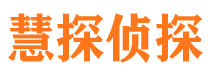 金口河市侦探调查公司